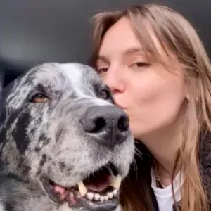 Femme de ménage à Chapareillan 