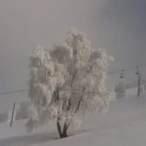 Baby sitter sur Vitré et alentours 