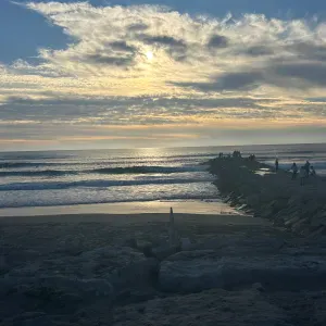 Vaga para Petsitter em Seixal