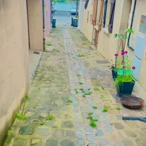 I have experienced in cleaning job 