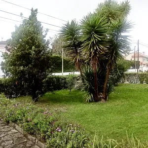 Baby-sitter preferência Suíça.