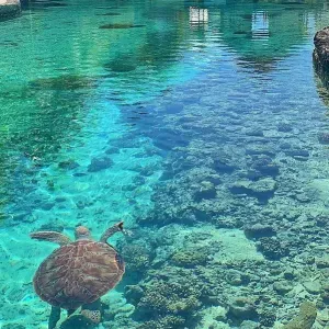 Je recherche une assistante maternelle occasionnellement 