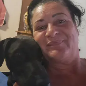 Reliable, friendly and caring pet sitter