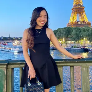 Responsible Cleaner in France