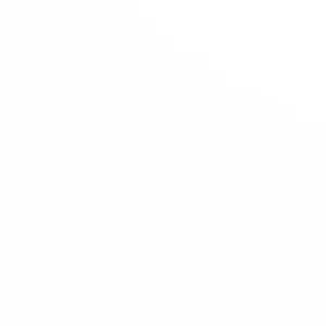 Pet -Sitter  Genève Malagnou, Chanpel, Eaux vives