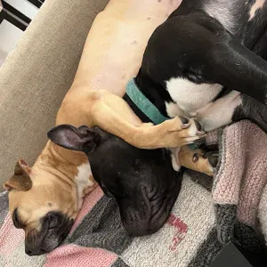 Il en faut peu pour être heureux