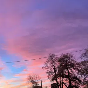 Je recherche une femme de ménage 