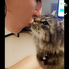 Aide de ménage  dans la métropole lilloise 