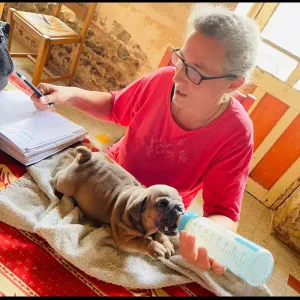 Garde peri scolaire dans le secteur de Lorris 45260