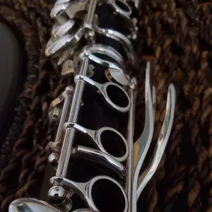 Babysitter com experiência desde bebés a pré adolescentes