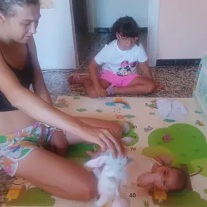 Canguro en benidorm y arededores 