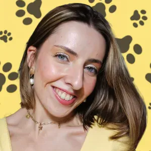 Pet Sitting em Évora e Arredores