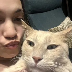 Passeggiate , coccole e cura per il tuo cane e gatto 