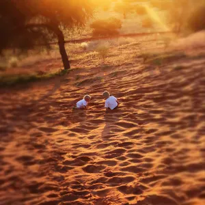 Offre d'emploi pour un(e) femme de ménage àParis