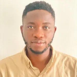  Responsible Cleaner in Setubal 