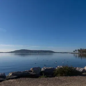 Aide à domicile en contrat CESU ou non