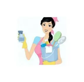 Aide ménagère  et repassage et compagne persoonnzs ages