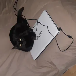 Aide à domicile personnes âgées