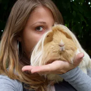 Garde lapins et rongeurs en Vendée