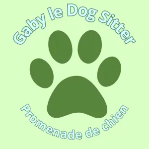 DOG-sitter à Montélimar, spécialisé en promenade de chien