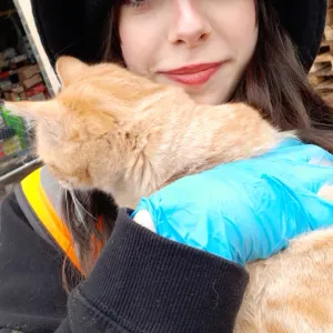 Pet-sitter à Wattignies et Lille