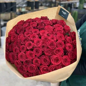 Garde animaux à votre domicile