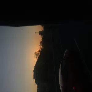 Petsitter giovane e dinamica-amante degli animali