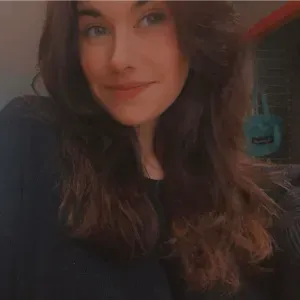 Aide à domicile vannes et ses alentours