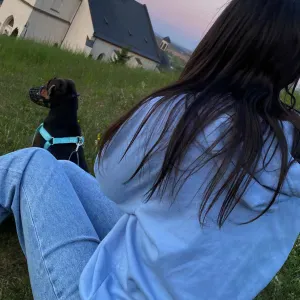 Petsitter, opieka nad zwierzątkami 