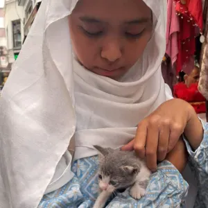 Cat-sitter à Romainville, étudiante et amie des chats