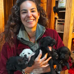 Your next favorite Pet sitter! 🐶