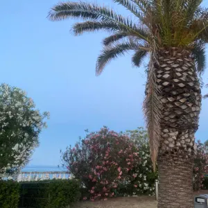 Oss con esperienza pluriennale 