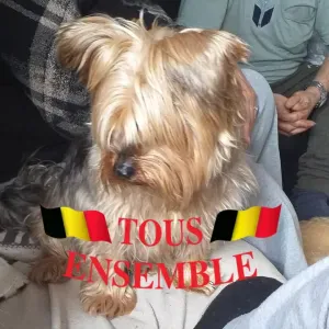 Je cherche une femme de ménage à domicile