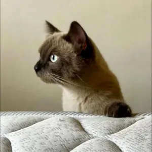 Position for a babysitter – childcare in Porto