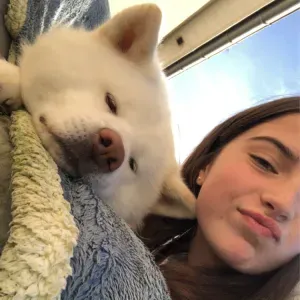 Baby-sitter 16 ans en Mayenne !!