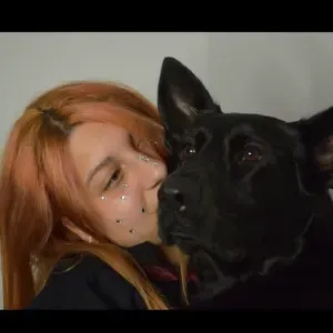 Cuidador animales Sevilla capital y alrededores