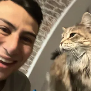 Cerco pulizie vicino a me