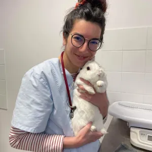 Jeune vétérinaire propose cours particuliers