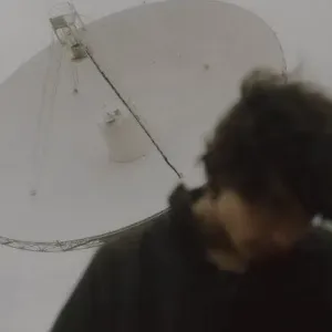 Pet-Sitter à Greasque et autour