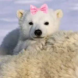 Nounou super cool à Namur, Belgique 