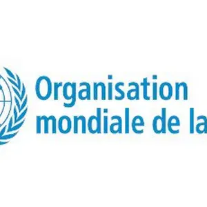 Offre d'emploi pour une baby-sitter à Angers