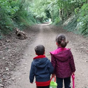 Animaux de compagnie