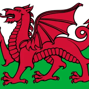 Femme de ménage sur colmar expérimentée 