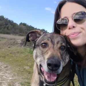 Pet sitting em Vila do Conde (centro)