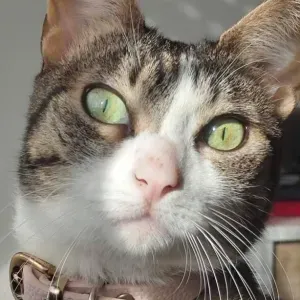 Loving Care for Your Best Friend 🐾