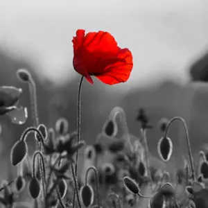 Aide à domicile à Saint-Jean-du-Gard