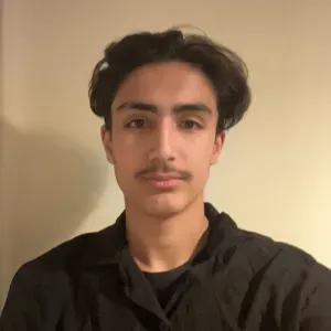 Pet sitter au alentour de chelles 77500