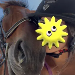 Baby-sitter à chalons en Champagne 