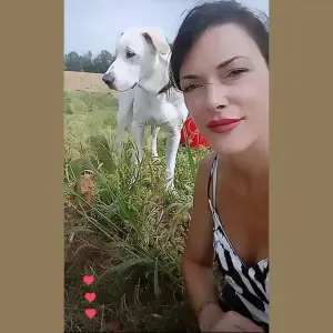 Treviglio e limitrofi, Bergamo , Romano di Lombardia 