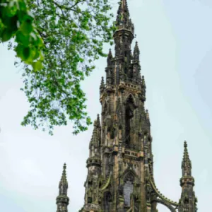 3 pets sitters pour le prix d'une !